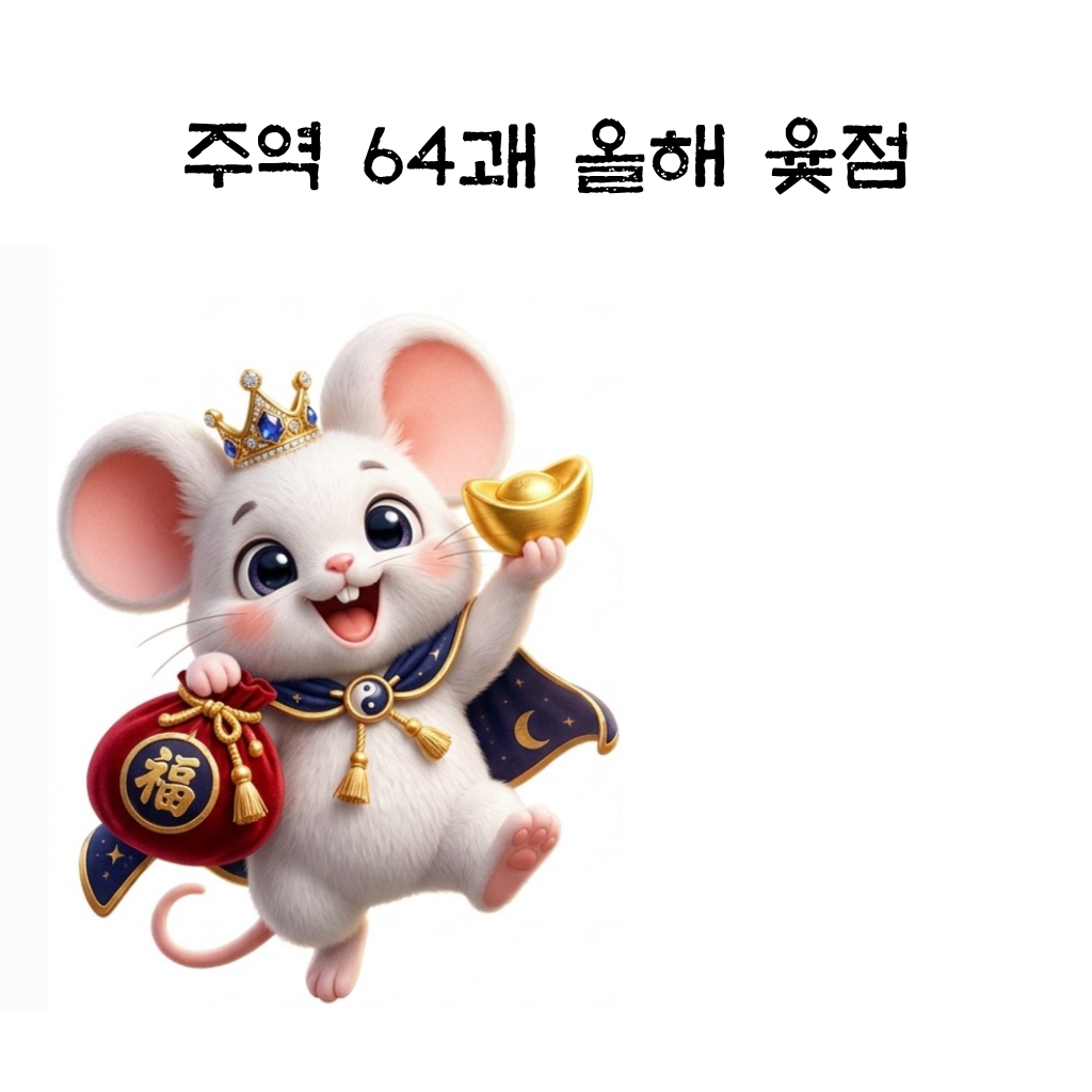 주역64괘 올해윷점